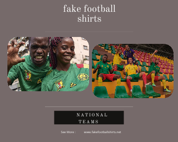 fake Cameroon football shirts 23-24